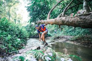 BIB: 
                            <button type="button" onclick="openModal(25432025)" class="btn btn-primary btn-sm float-right btn-popup" data-toggle="modal" data-target=".modal-high-quality">
                        <i class="fas fa-shopping-cart"></i> Add to Cart
                    </button>
                                            <button type="button" onclick="isThisMe(25432025, true)" class="btn btn-success btn-sm float-right btn-popup btn-isme hidden" data-toggle="tooltip" data-placement="bottom" title="นี่คือรูปของคุณใช่ไหม คลิกที่นี่เพื่อเอาเข้าอัลบั้ม">
                        <i class="fas fa-plus"></i> Add to album
                    </button>
                    <button type="button" onclick="isThisMe(25432025, false)" class="btn btn-warning btn-sm float-right btn-popup btn-isnotme hidden">
                        <i class="fas fa-ban"></i> Remove from album
                    </button>